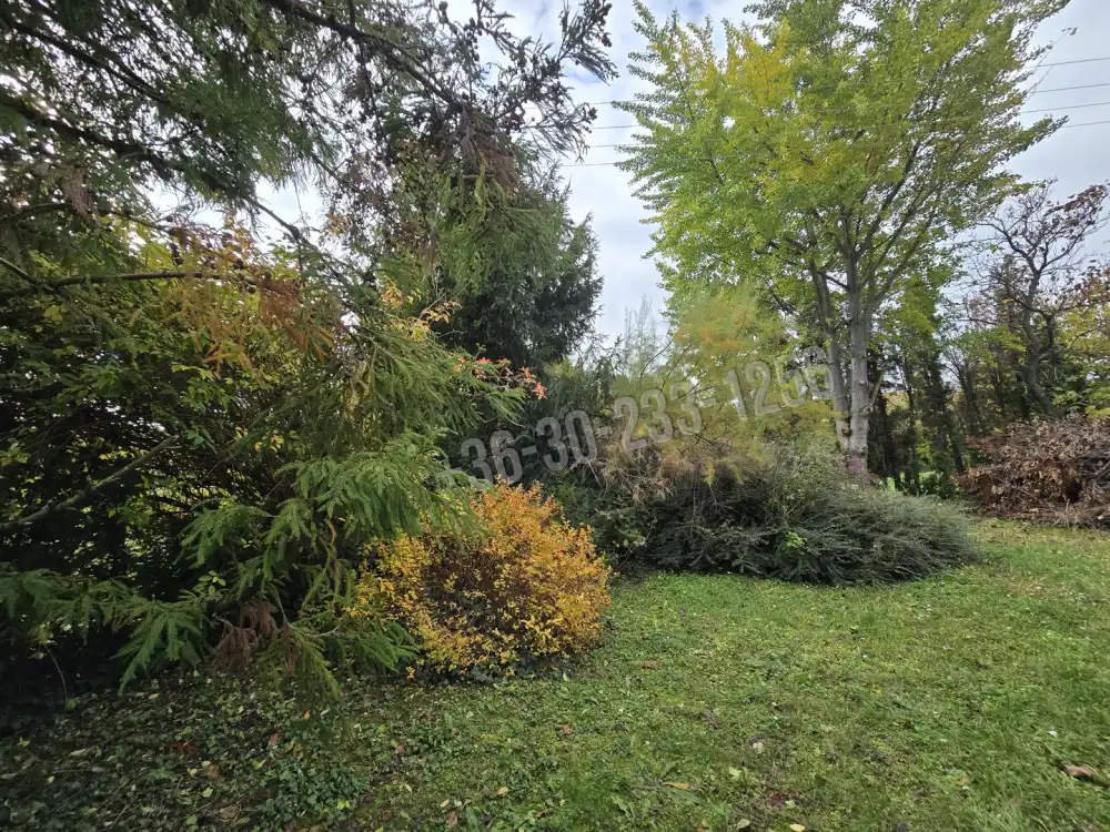 Veszprém megye - Badacsonytomaj-Badacsony