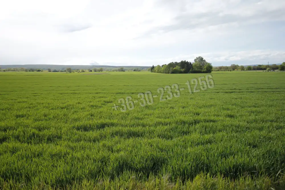 Győr-Moson-Sopron megye - Sopron