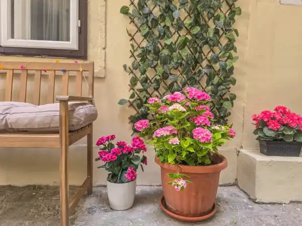 Eladó téglalakás, Sopron 2+2 szoba 79 m² 69.9 M Ft