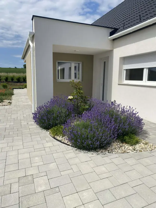 Eladó újszerű családi ház, Fertőszéplak 3+1 szoba 103 m² 183.97 M Ft